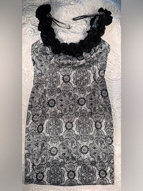 Maggy London Black and White Floral Lace-Print Dress